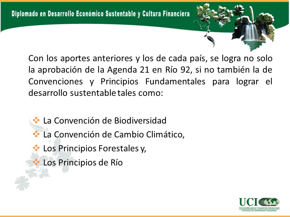 Con los aportes anteriores y los de cada país, se logra no solo la aprobación de la Agenda 21 en Río 92, si no también la de Convenciones y Principios Fundamentales para lograr el desarrollo sustentable tales como: