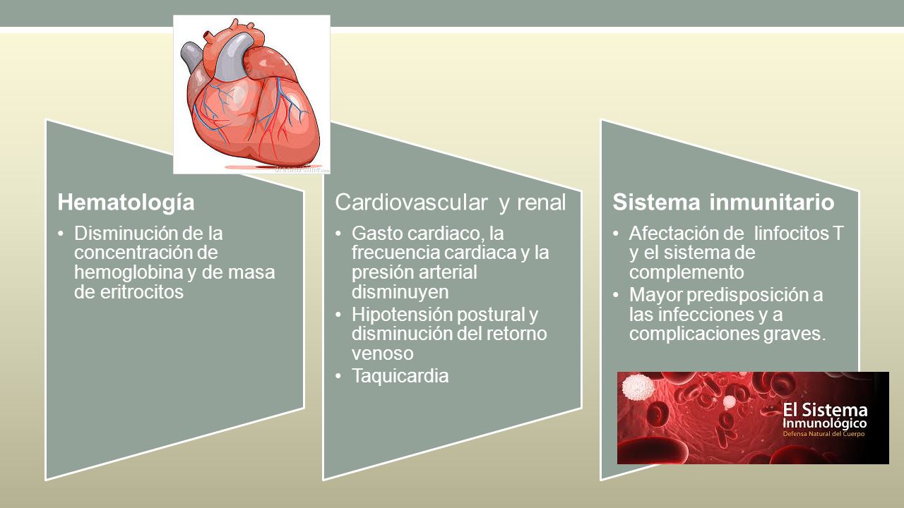 Hematología Disminución de la concentración de hemoglobina y de masa de eritrocitos. Cardiovascular y renal.