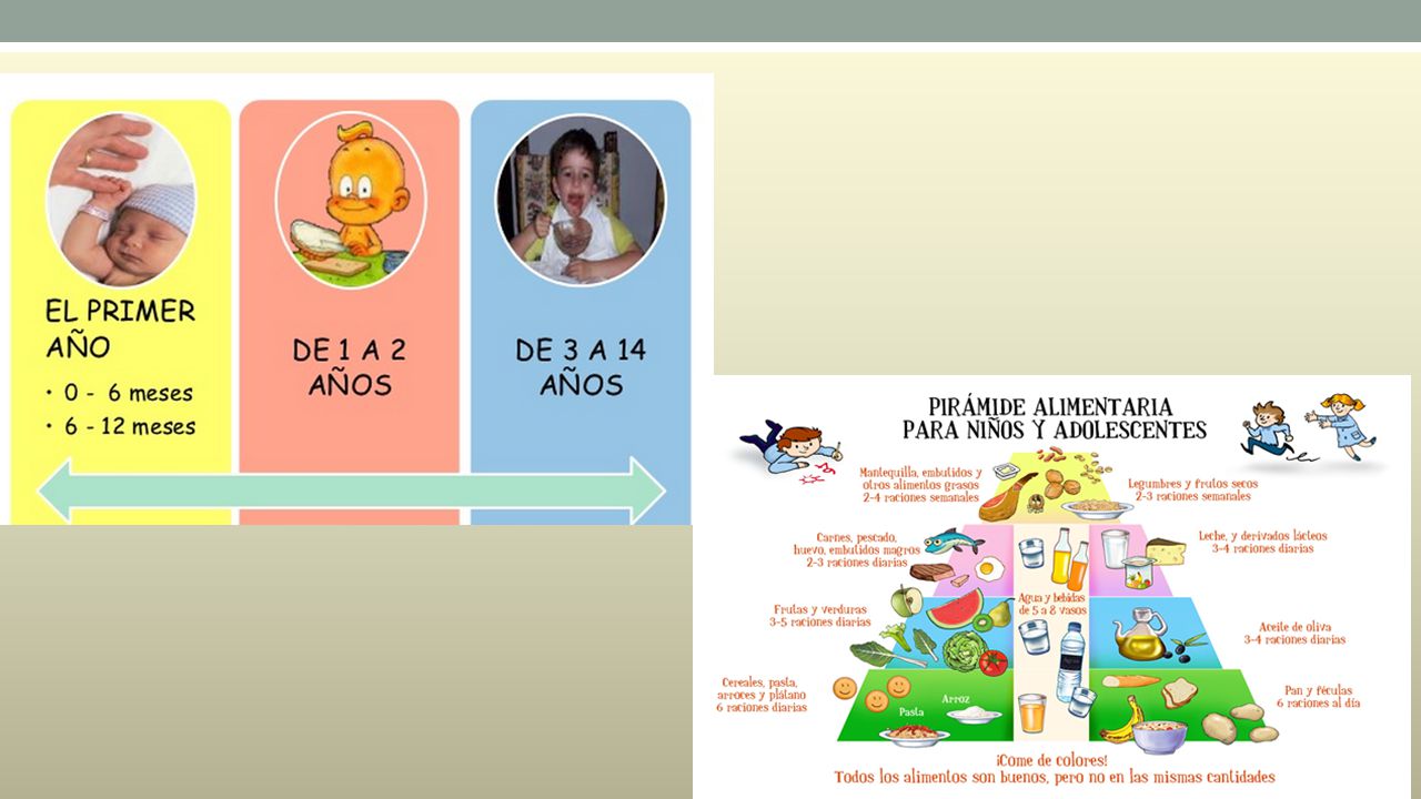 Para una buena slud necesita nutriente que le proporcionen energia como proteinas con 9 aminoacido esenciales grasa y carbohidratos vitamaminas hidro y liposolubles minerales oligoelementos electrolitros agua