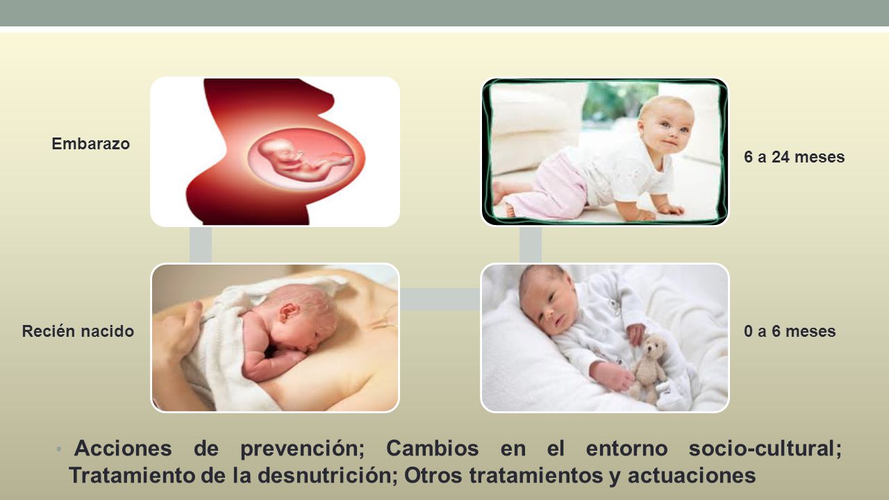 Embarazo 6 a 24 meses. Recién nacido. 0 a 6 meses.