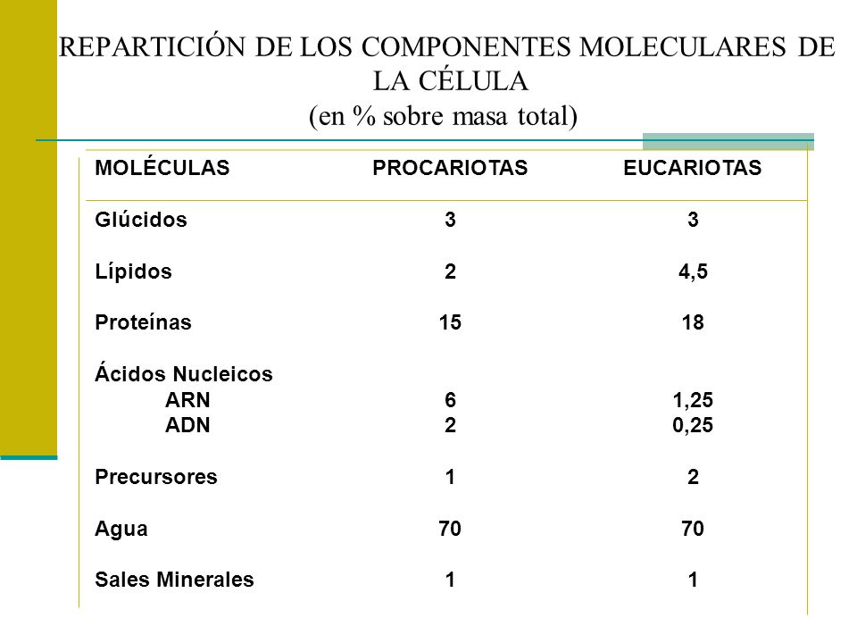 REPARTICIÓN DE LOS COMPONENTES MOLECULARES DE LA CÉLULA (en % sobre masa total)
