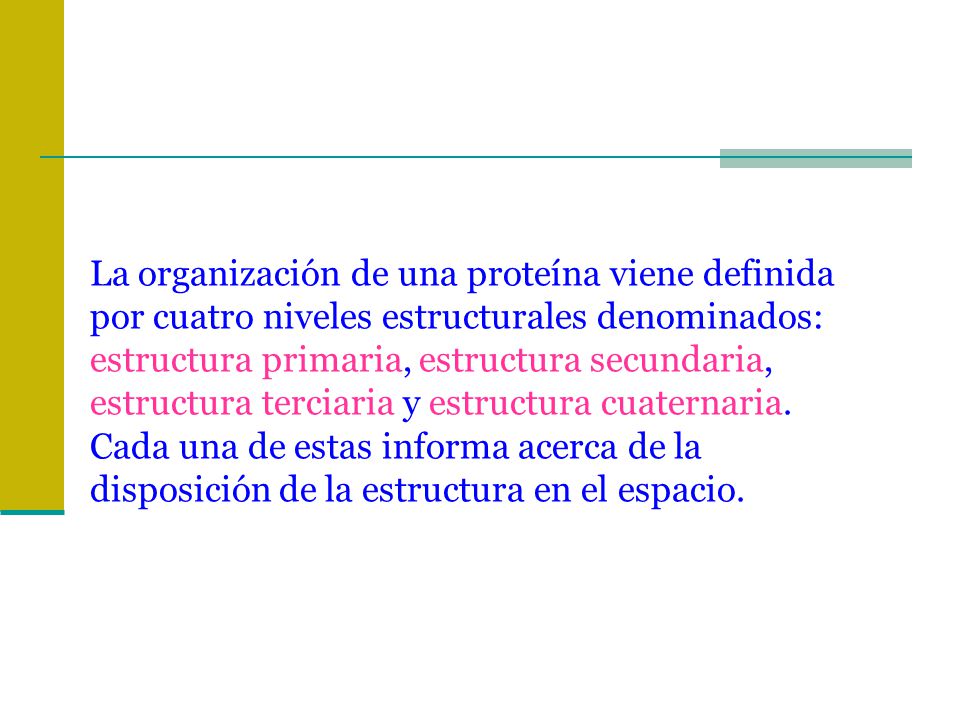 La organización de una proteína viene definida por cuatro niveles estructurales denominados: estructura primaria, estructura secundaria, estructura terciaria y estructura cuaternaria.
