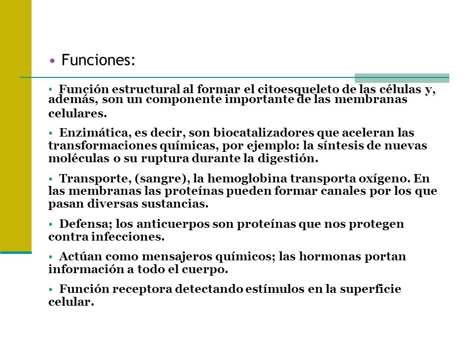 Funciones: Función estructural al formar el citoesqueleto de las células y, además, son un componente importante de las membranas celulares.