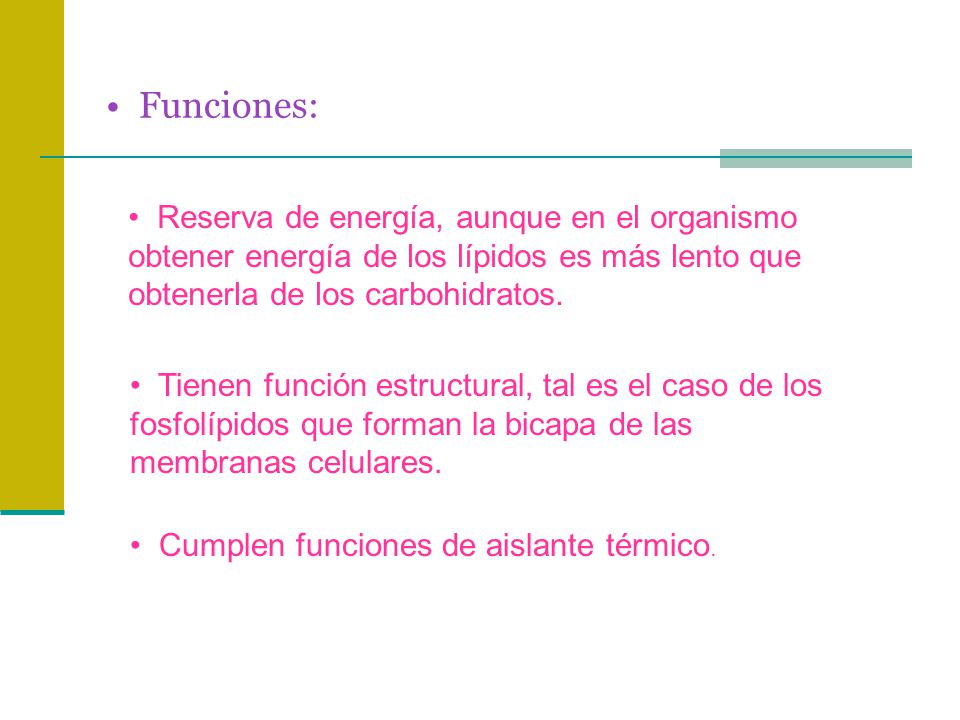 Funciones: Reserva de energía, aunque en el organismo obtener energía de los lípidos es más lento que obtenerla de los carbohidratos.