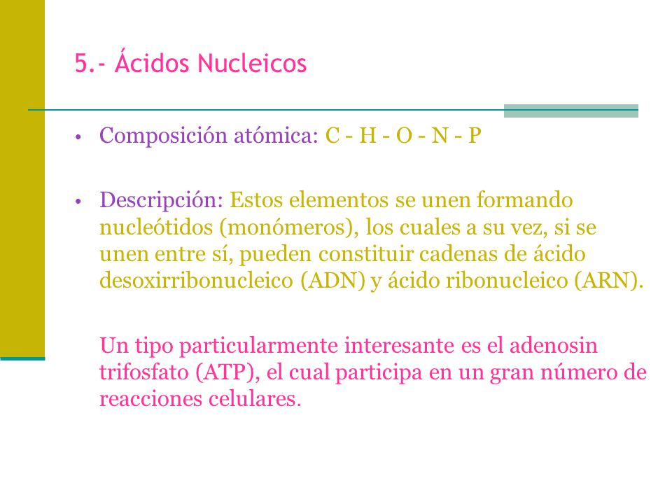 5.- Ácidos Nucleicos Composición atómica: C - H - O - N - P