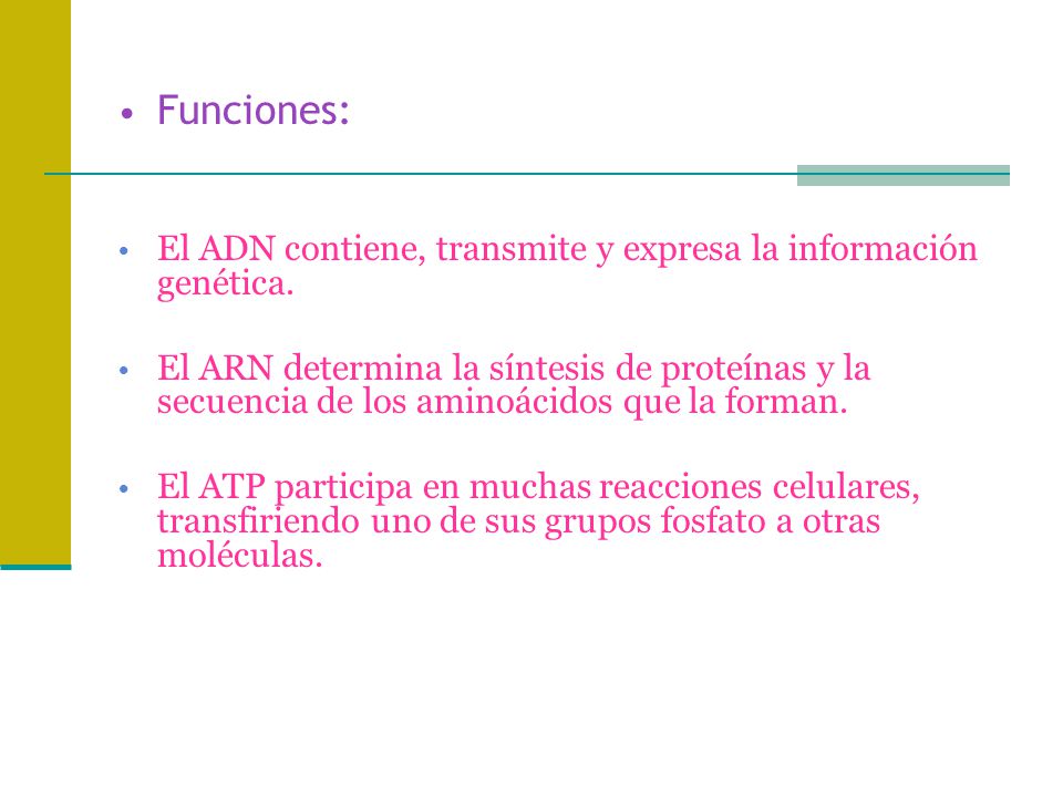 Funciones: El ADN contiene, transmite y expresa la información genética.