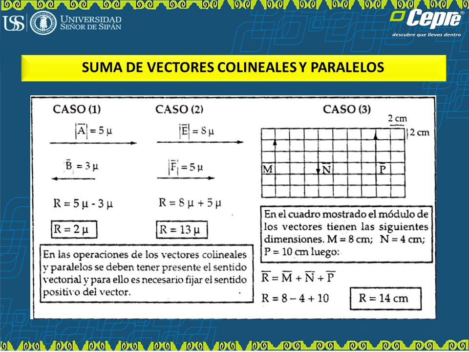 SUMA DE VECTORES COLINEALES Y PARALELOS
