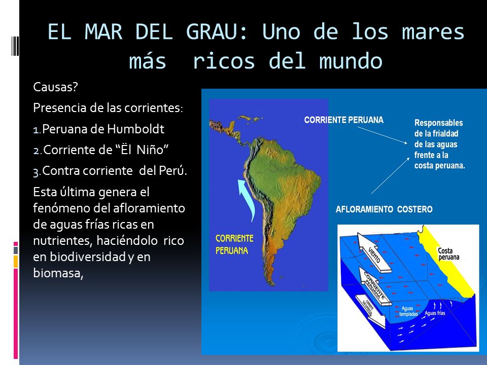 EL MAR DEL GRAU: Uno de los mares más ricos del mundo