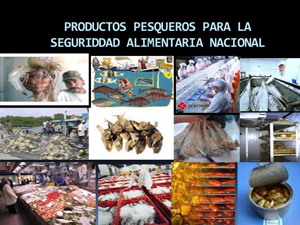 PRODUCTOS PESQUEROS PARA LA SEGURIDDAD ALIMENTARIA NACIONAL