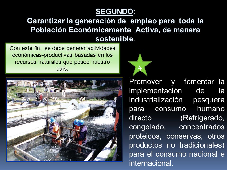 SEGUNDO: Garantizar la generación de empleo para toda la Población Económicamente Activa, de manera sostenible.