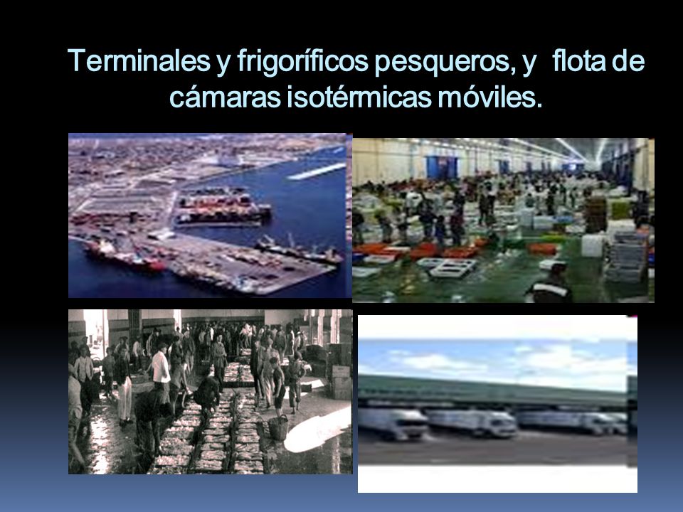 Terminales y frigoríficos pesqueros, y flota de cámaras isotérmicas móviles.