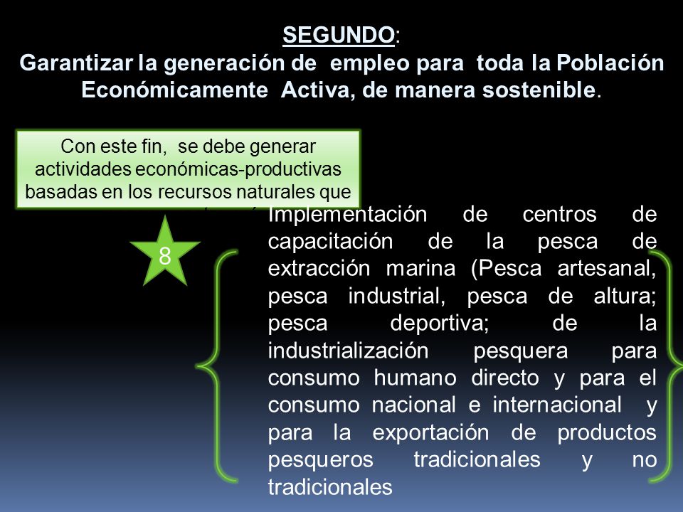 SEGUNDO: Garantizar la generación de empleo para toda la Población Económicamente Activa, de manera sostenible.