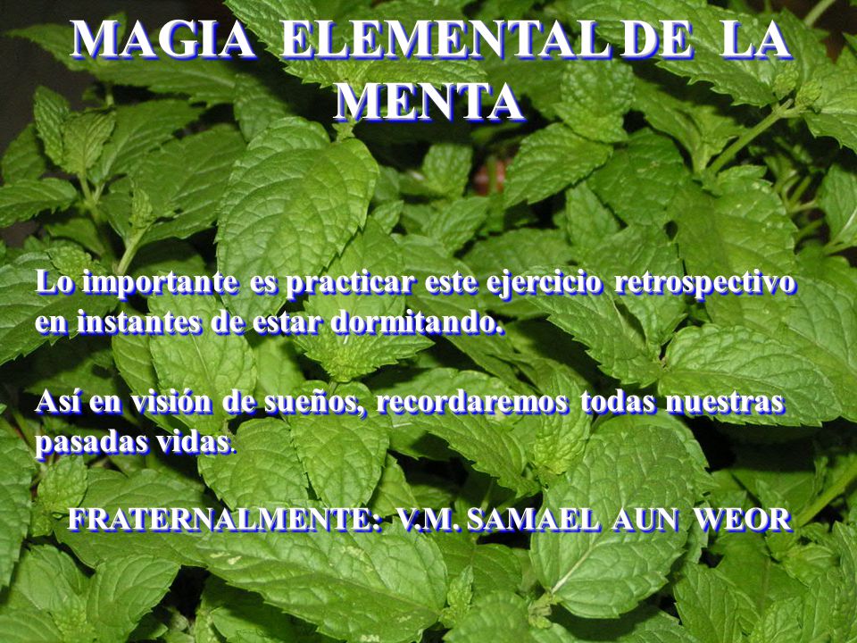MAGIA ELEMENTAL DE LA MENTA FRATERNALMENTE: V.M. SAMAEL AUN WEOR