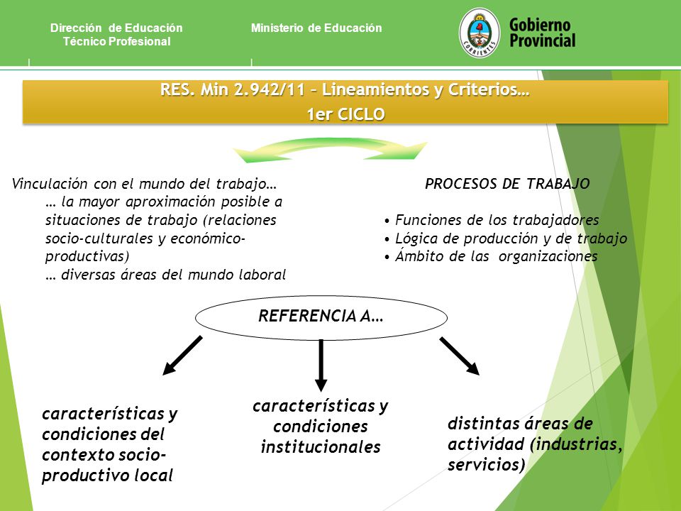 RES. Min 2.942/11 – Lineamientos y Criterios… 1er CICLO