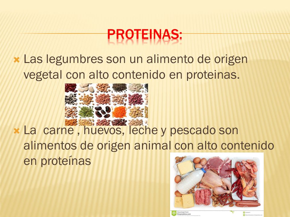 PROTEINAS: Las legumbres son un alimento de origen vegetal con alto contenido en proteinas.