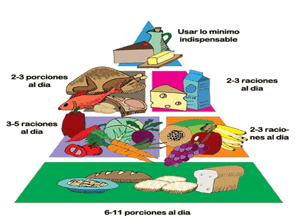Para seguir una dieta saludable, es decir, completa y equilibrada hay que seguir las siguientes indicaciones: