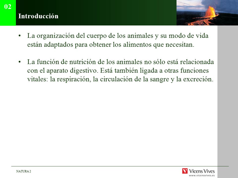 02 Introducción. La organización del cuerpo de los animales y su modo de vida están adaptados para obtener los alimentos que necesitan.