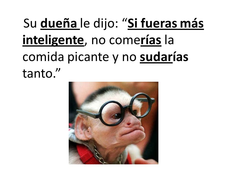Su dueña le dijo: Si fueras más inteligente, no comerías la comida picante y no sudarías tanto.