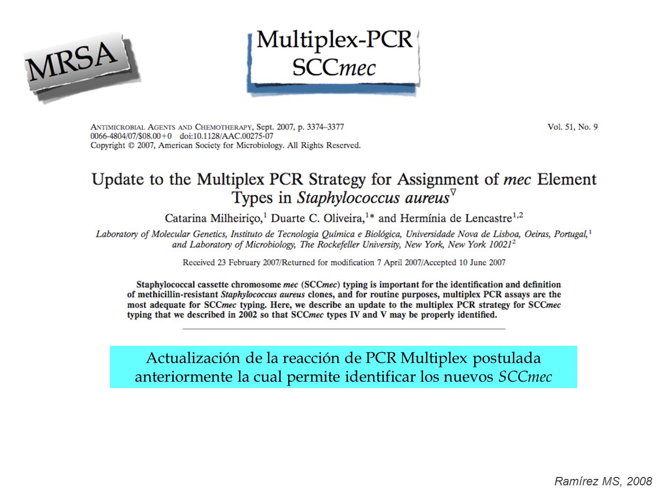 Actualización de la reacción de PCR Multiplex postulada anteriormente la cual permite identificar los nuevos SCCmec
