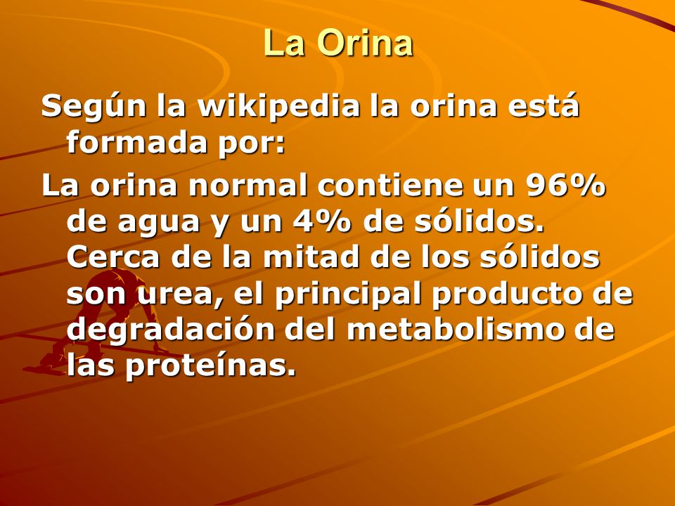 La Orina Según la wikipedia la orina está formada por:
