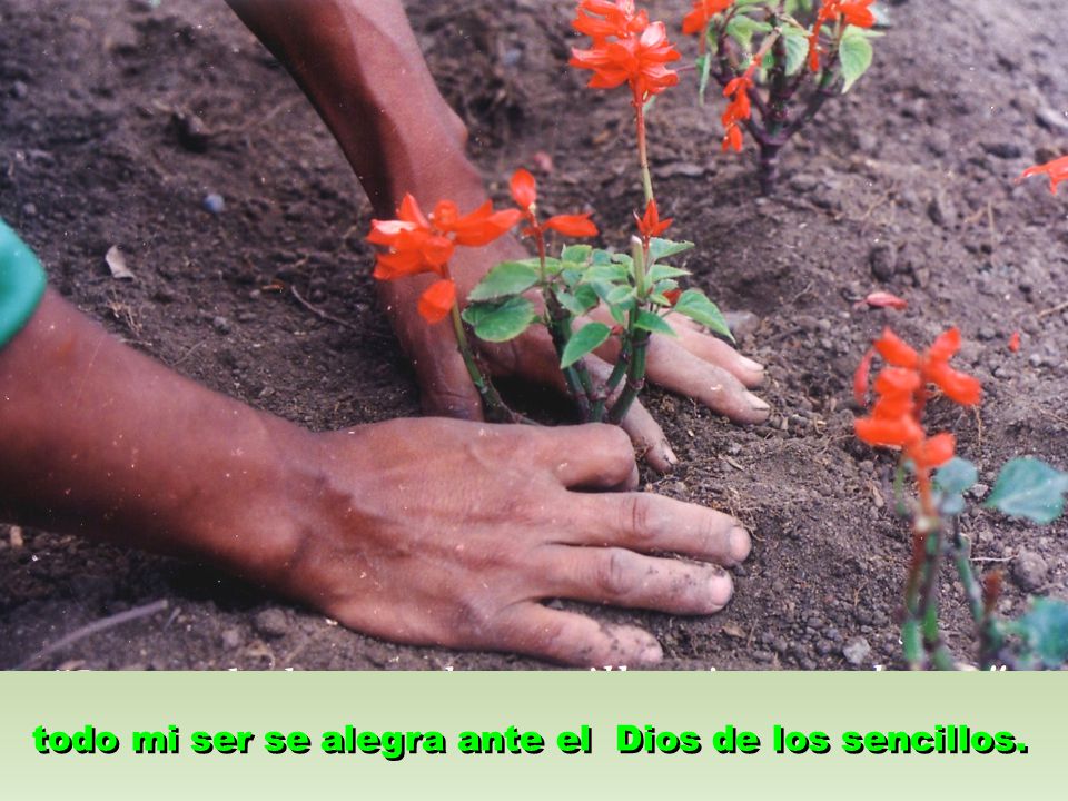 todo mi ser se alegra ante el Dios de los sencillos.