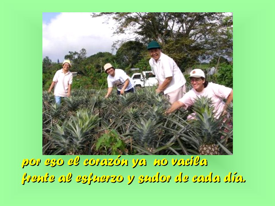 por eso el corazón ya no vacila