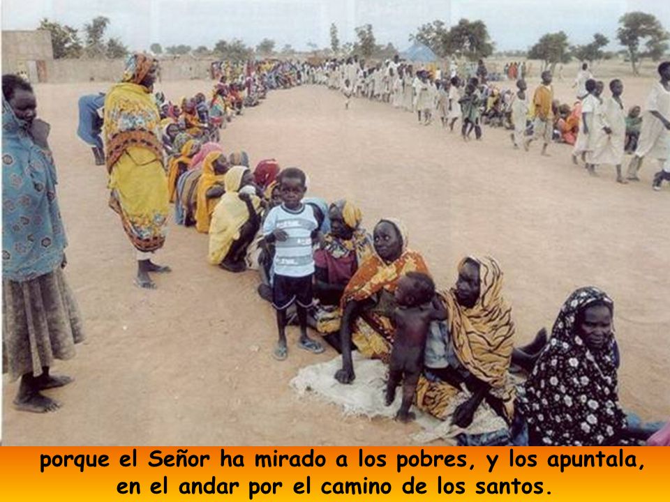 porque el Señor ha mirado a los pobres, y los apuntala, en el andar por el camino de los santos.
