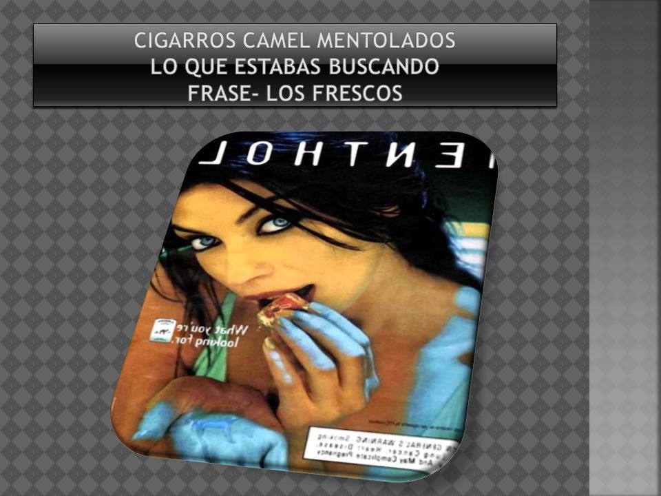 Cigarros camel mentolados Lo que estabas buscando frase- los frescos