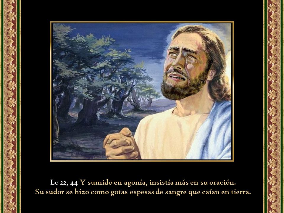 Lc 22, 44 Y sumido en agonía, insistía más en su oración.