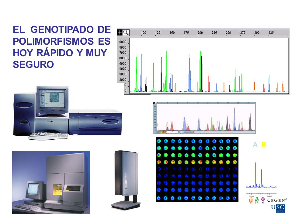EL GENOTIPADO DE POLIMORFISMOS ES HOY RÁPIDO Y MUY SEGURO