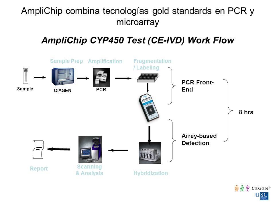 AmpliChip combina tecnologías gold standards en PCR y microarray AmpliChip CYP450 Test (CE-IVD) Work Flow