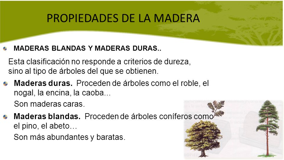 TIPOS DE MADERA PROPIEDADES DE LA MADERA