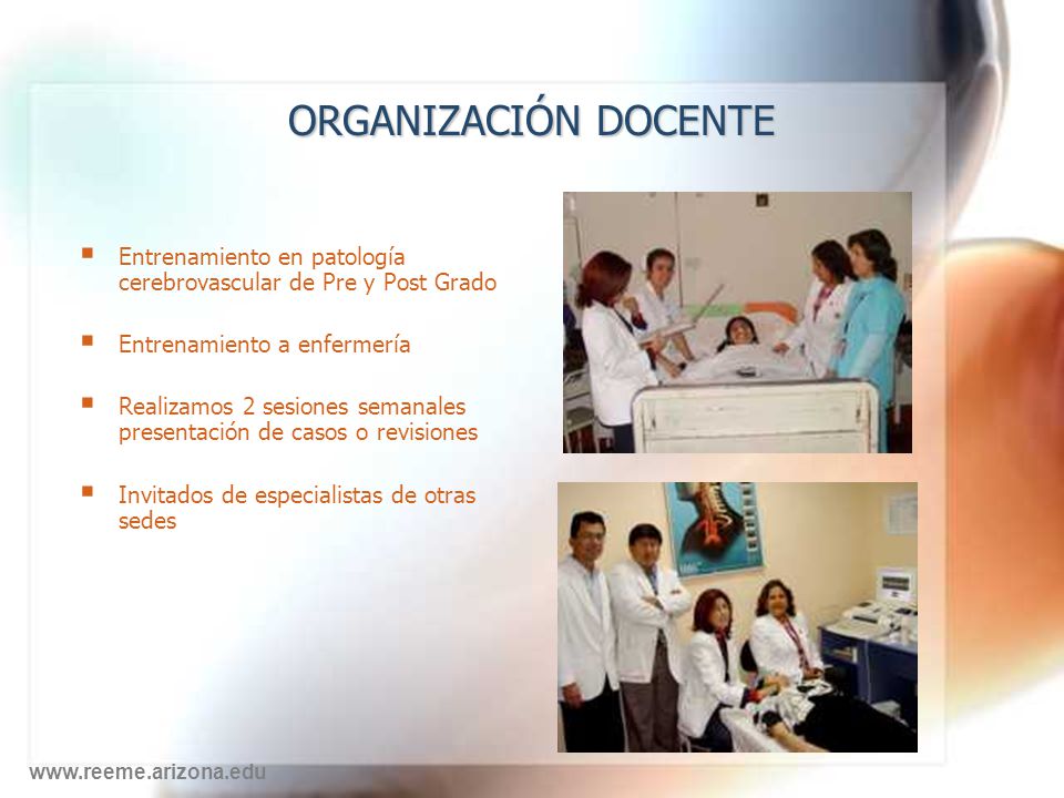 ORGANIZACIÓN DOCENTE Entrenamiento en patología cerebrovascular de Pre y Post Grado. Entrenamiento a enfermería.
