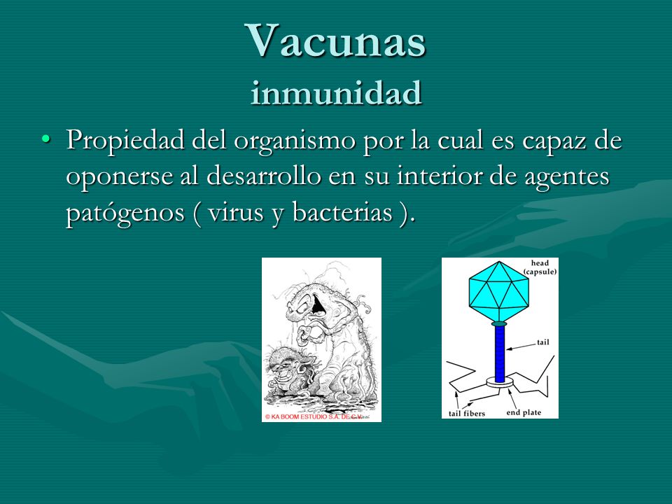 Vacunas inmunidad Propiedad del organismo por la cual es capaz de oponerse al desarrollo en su interior de agentes patógenos ( virus y bacterias ).