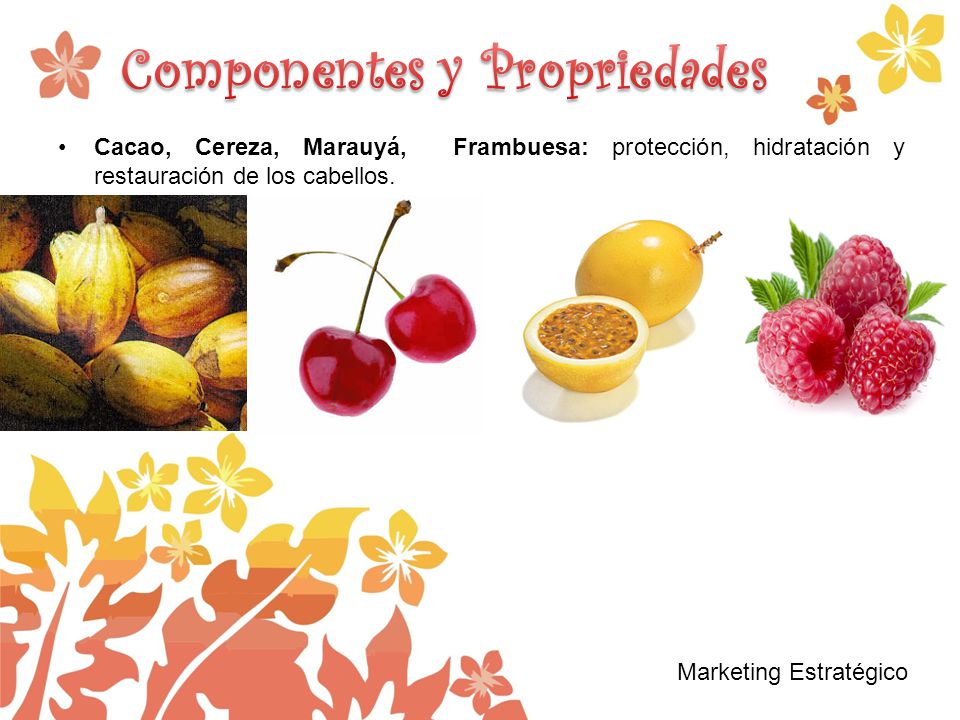 Componentes y Propriedades