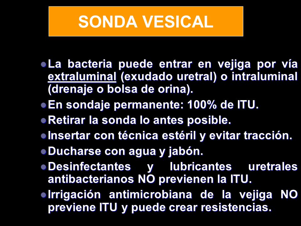 SONDA VESICAL La bacteria puede entrar en vejiga por vía extraluminal (exudado uretral) o intraluminal (drenaje o bolsa de orina).
