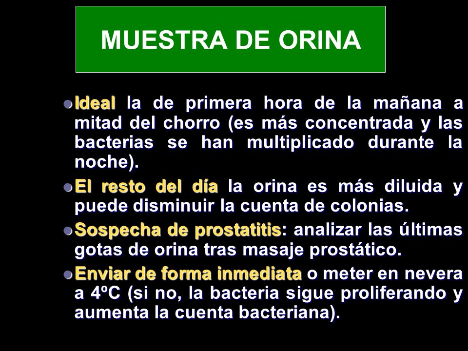 MUESTRA DE ORINA Ideal la de primera hora de la mañana a mitad del chorro (es más concentrada y las bacterias se han multiplicado durante la noche).