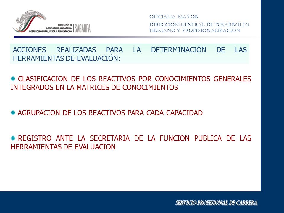 ACCIONES REALIZADAS PARA LA DETERMINACIÓN DE LAS HERRAMIENTAS DE EVALUACIÓN: