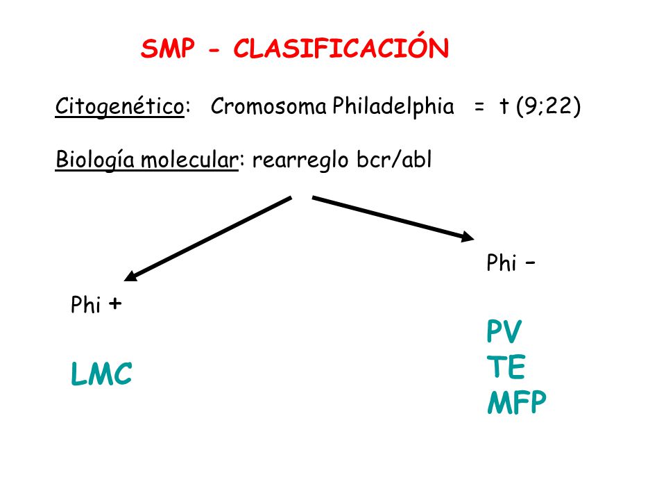 PV TE MFP LMC SMP - CLASIFICACIÓN