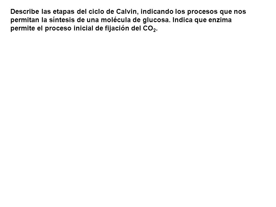 Describe las etapas del ciclo de Calvin, indicando los procesos que nos permitan la síntesis de una molécula de glucosa.