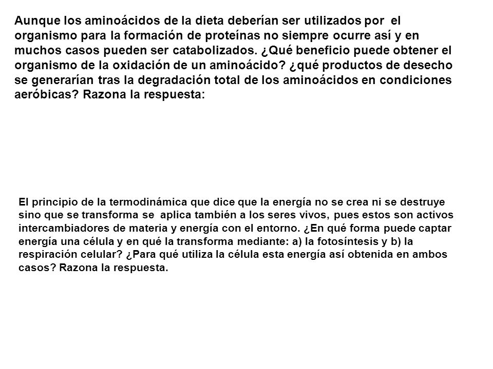 Aunque los aminoácidos de la dieta deberían ser utilizados por el organismo para la formación de proteínas no siempre ocurre así y en muchos casos pueden ser catabolizados. ¿Qué beneficio puede obtener el organismo de la oxidación de un aminoácido ¿qué productos de desecho se generarían tras la degradación total de los aminoácidos en condiciones aeróbicas Razona la respuesta: