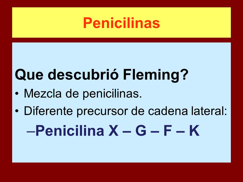 Penicilinas Que descubrió Fleming Penicilina X – G – F – K
