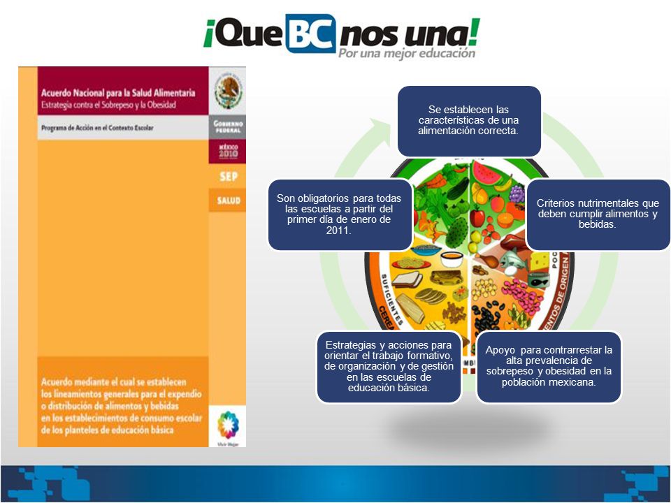 Se establecen las características de una alimentación correcta.