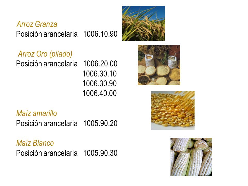 Posición arancelaria Arroz Oro (pilado)