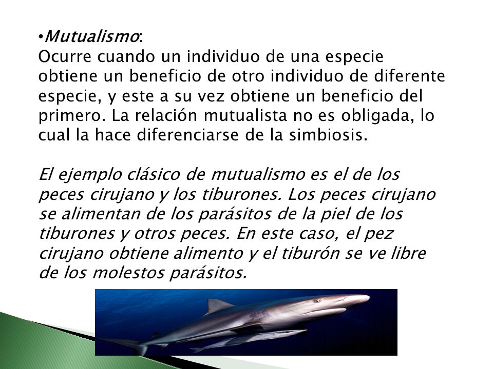Mutualismo: