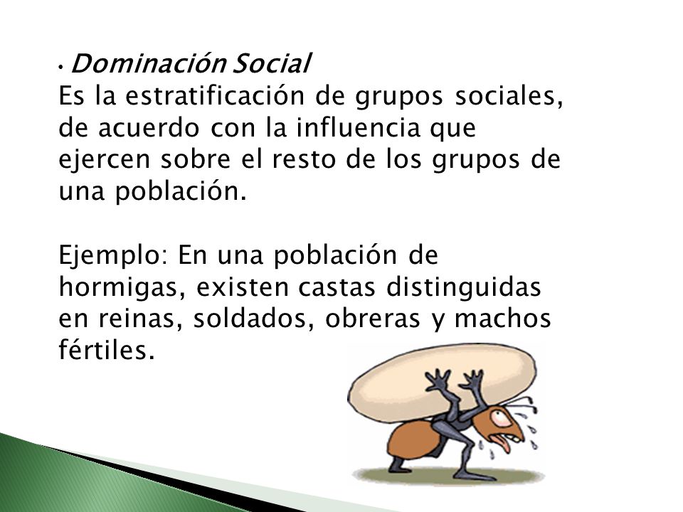 Dominación Social Es la estratificación de grupos sociales, de acuerdo con la influencia que ejercen sobre el resto de los grupos de una población.