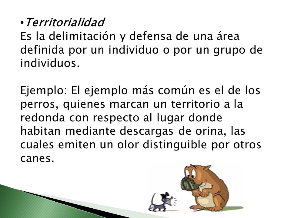 Territorialidad Es la delimitación y defensa de una área definida por un individuo o por un grupo de individuos.