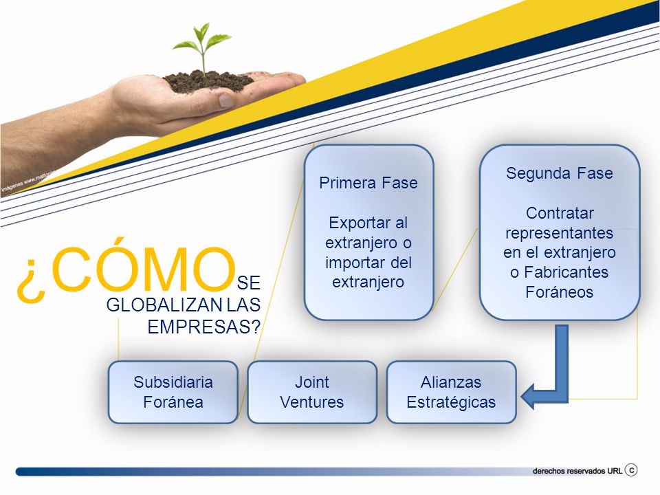 ¿CÓMO SE GLOBALIZAN LAS EMPRESAS Primera Fase Exportar al