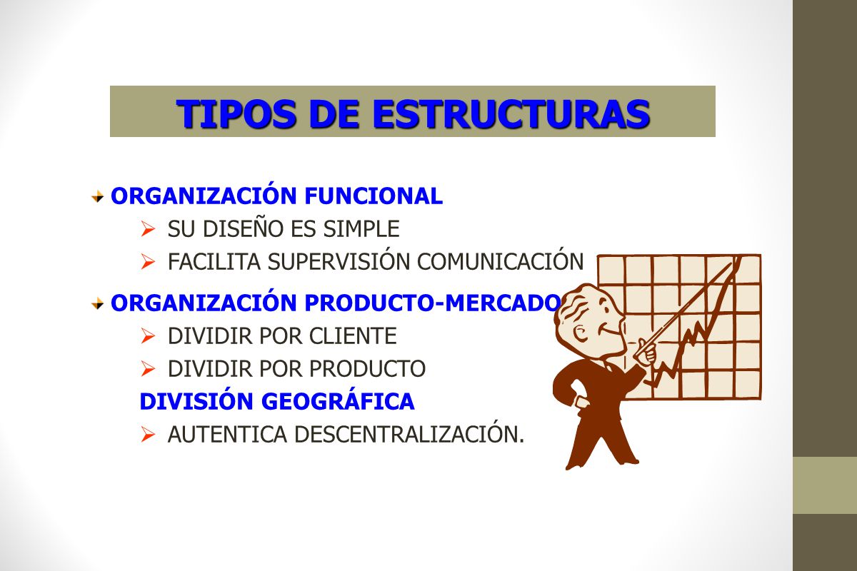 TIPOS DE ESTRUCTURAS ORGANIZACIÓN FUNCIONAL SU DISEÑO ES SIMPLE