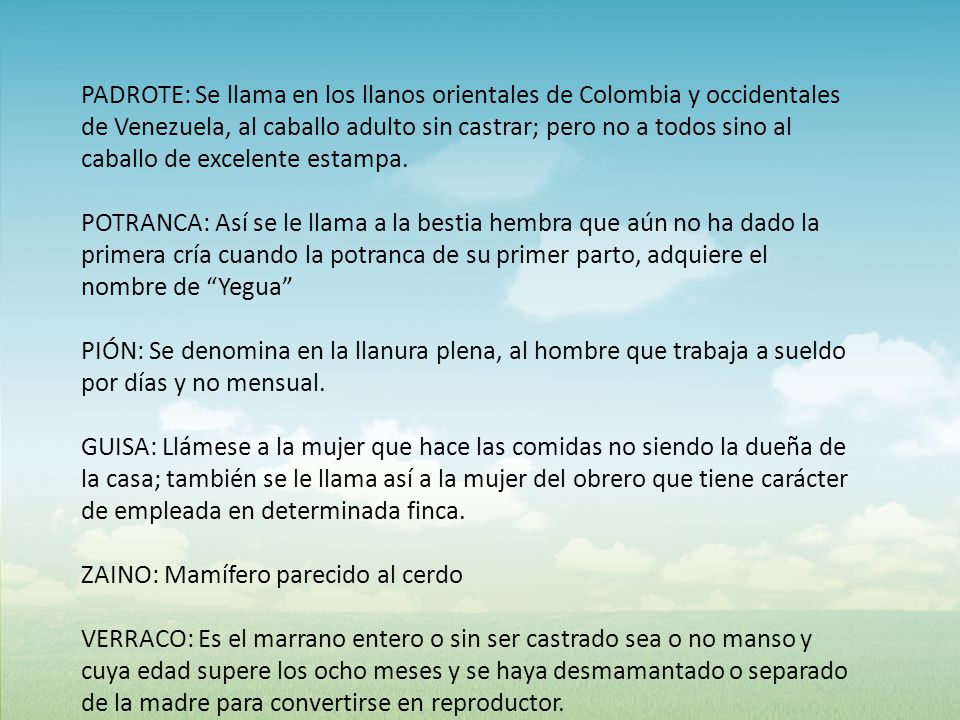 PADROTE: Se llama en los llanos orientales de Colombia y occidentales de Venezuela, al caballo adulto sin castrar; pero no a todos sino al caballo de excelente estampa.